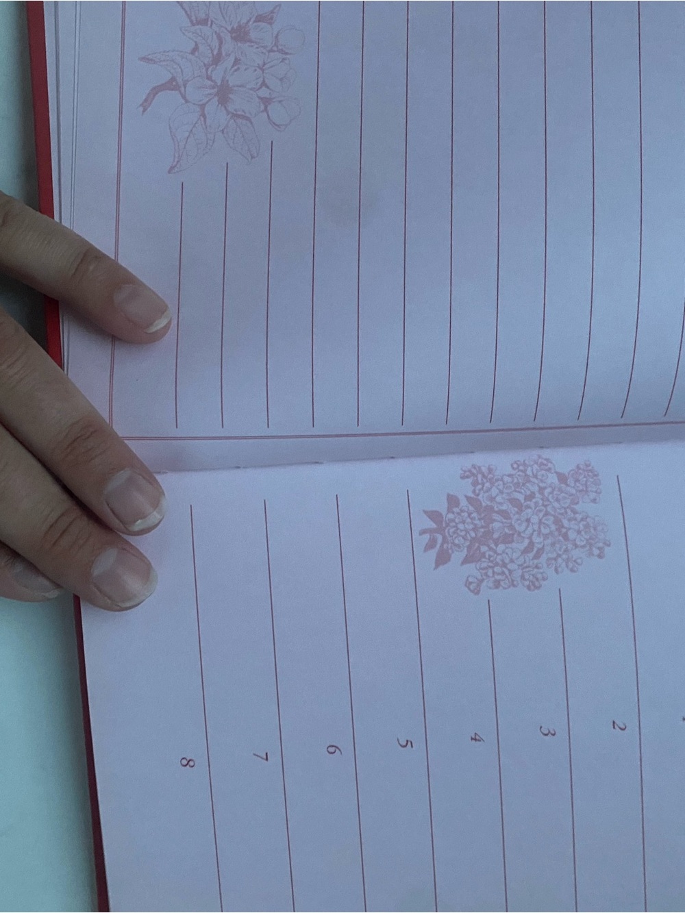 Red Birthday Book - Picture 5 of 5